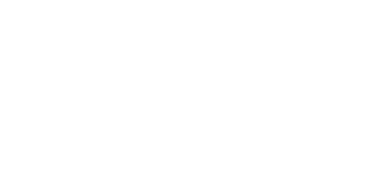 Mobiwire